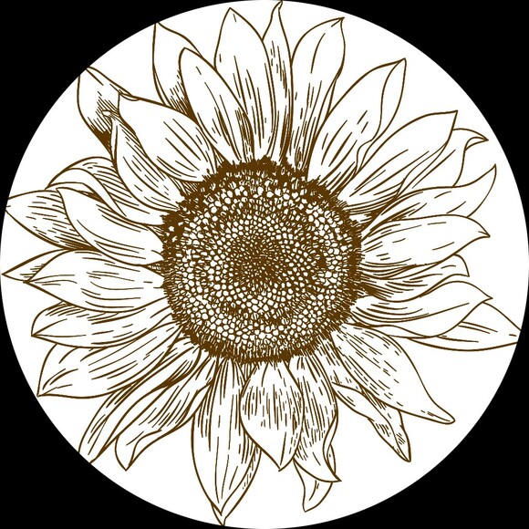jts_growth